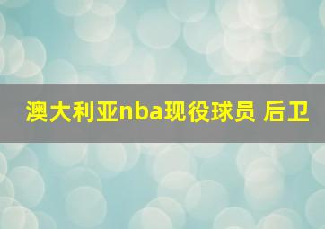 澳大利亚nba现役球员 后卫